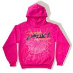 sp5der hoodie Profile Picture