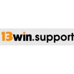 13winsupport Profile Picture