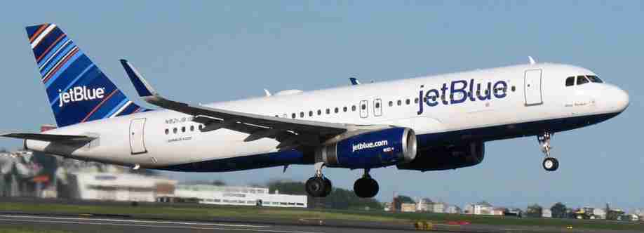 ellena frank Cover Image