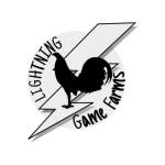 americansgamefowl Profile Picture