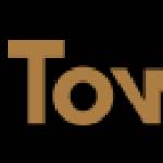 TownX profile picture