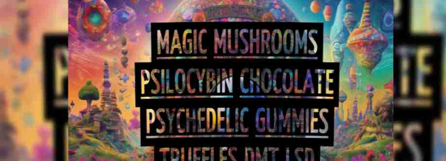lucidworld011 Cover Image