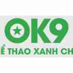 ok9business Profile Picture