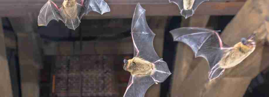 Exclusive Bat Proofing Inc Cover Image