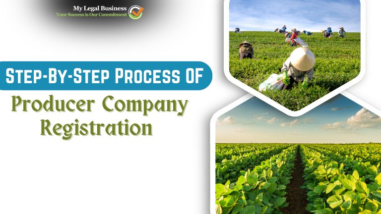 Step-By-Step Process of Producer Company Registration