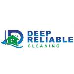 Deep Reliable Cleaning Profile Picture