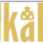 official Polkadot Profile Picture