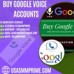 Buy Google Voice Accounts Profile Picture