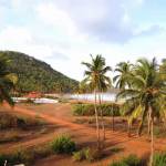 Neworld Developer Profile Picture