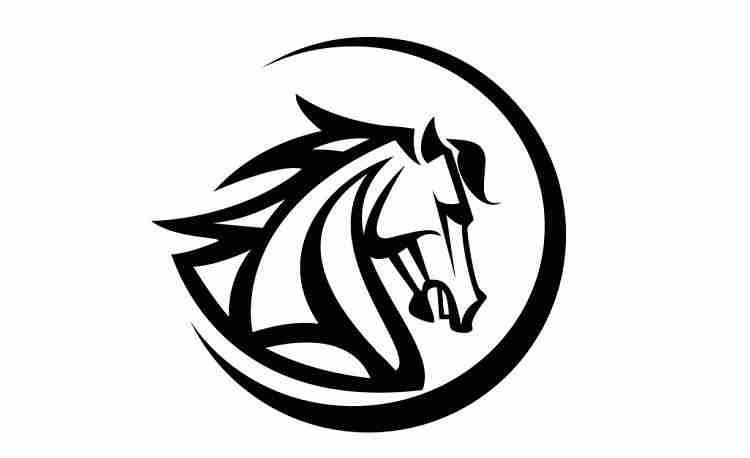 stallion motors Profile Picture