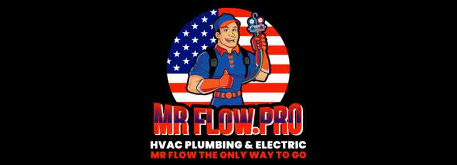 Mr Flow pro Cover Image