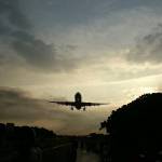 amara02 Profile Picture