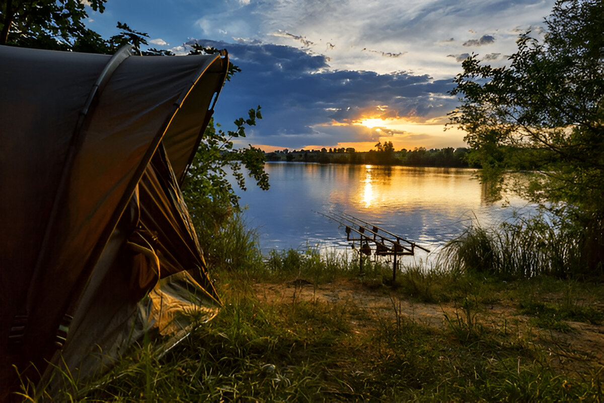 Bear Smart Fishing Camp Food Storage and Night Safety – Writoka