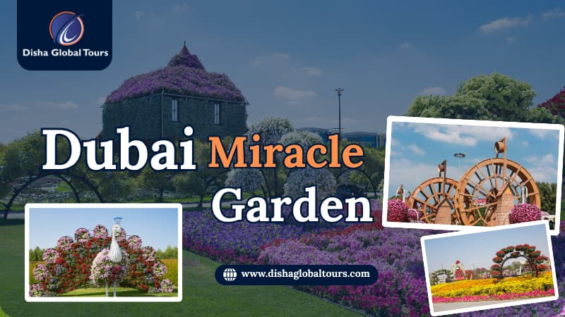 Dubai Miracle Garden | World's Largest Flower Garden Tour