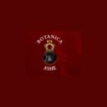 Botani Cashe Profile Picture