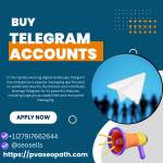 Buy Telegram Accounts Profile Picture