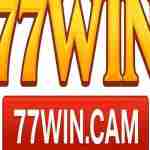 77WIN CAM Profile Picture