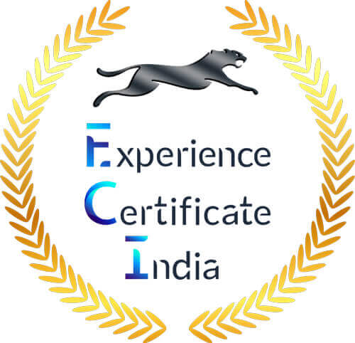 Experience Certificate Provider In Noida