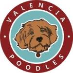 valenciapoodles Profile Picture