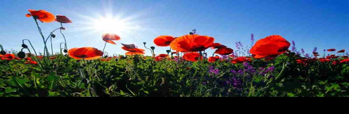 Dr Nudman Psychiatrist Cover Image