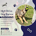 Choose Belgian Malinois Trainer