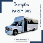 Brampton Limo Profile Picture