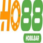 ho88bar Profile Picture