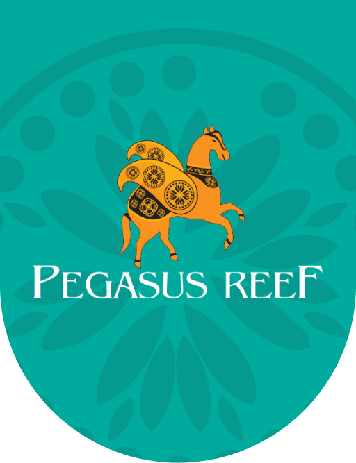 Luxury & Affordable Wedding Venues in Wattala | Pegasus Reef