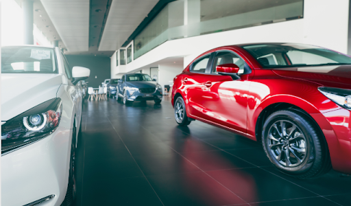 Seasonal Fluid Checks Every BMW Owner Should Know - DownGPT