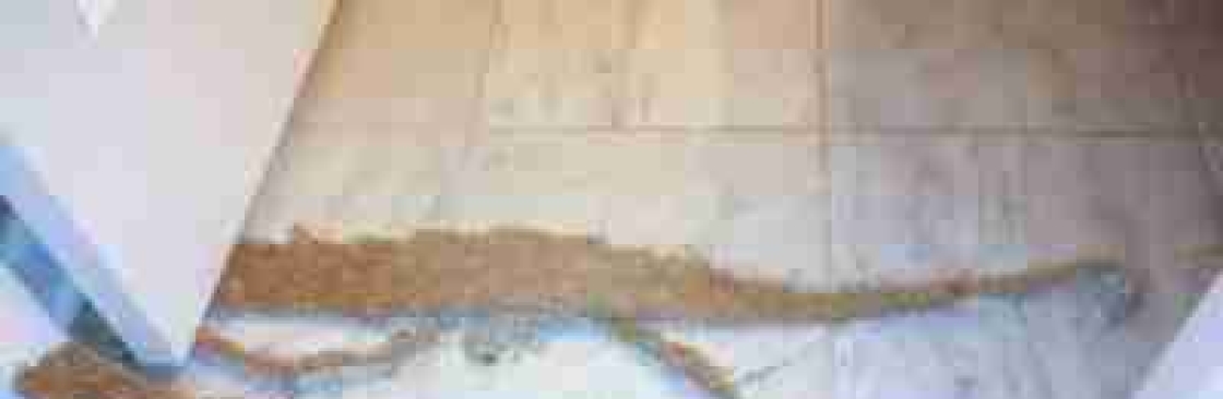 All Colors Carpet Cleaning Indianapolis Cover Image