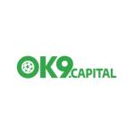 OK9 capital Profile Picture