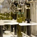 Extra virgin olive oil in bulk by Yakutta Profile Picture