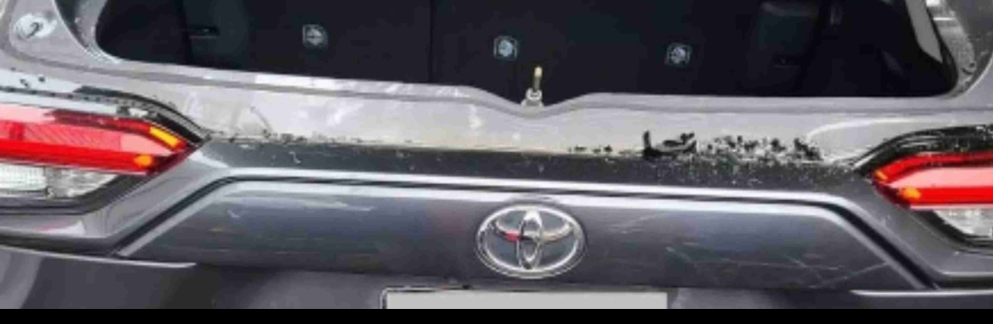 Viper Legendary Auto Glass Windshield Repair Winnipeg Cover Image