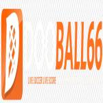 dooball66 Profile Picture