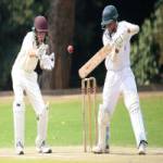 cricket games Profile Picture
