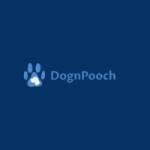 DognPooch Profile Picture