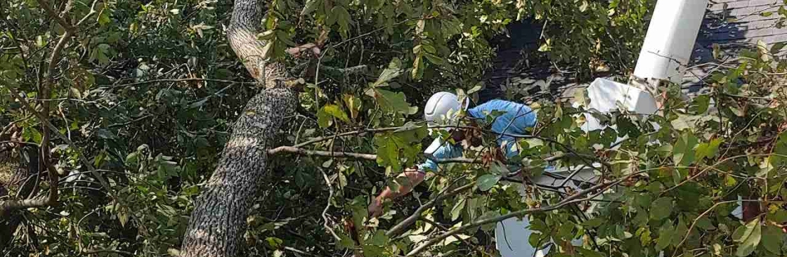 Embark Land Clearing Cover Image