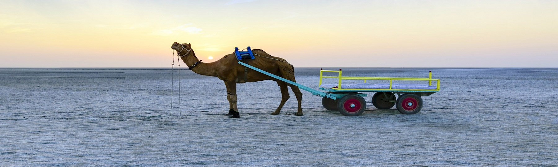 Rann Utsav Tour Packages | White Desert Festival of Kutch | GeTS Holidays