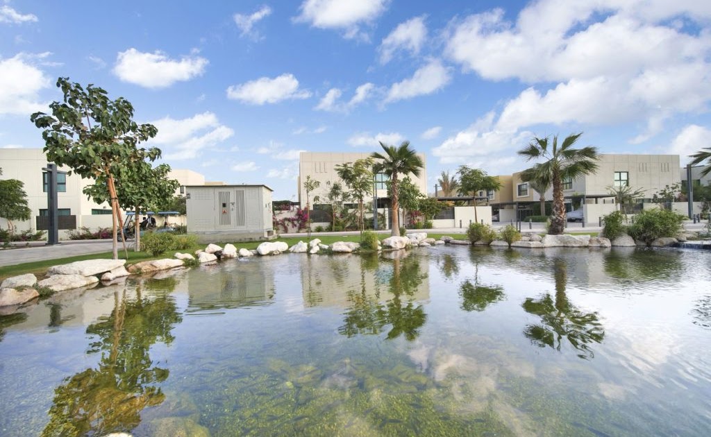 How Natural Swimming Pools Reduce Water Waste and Chemical Use?