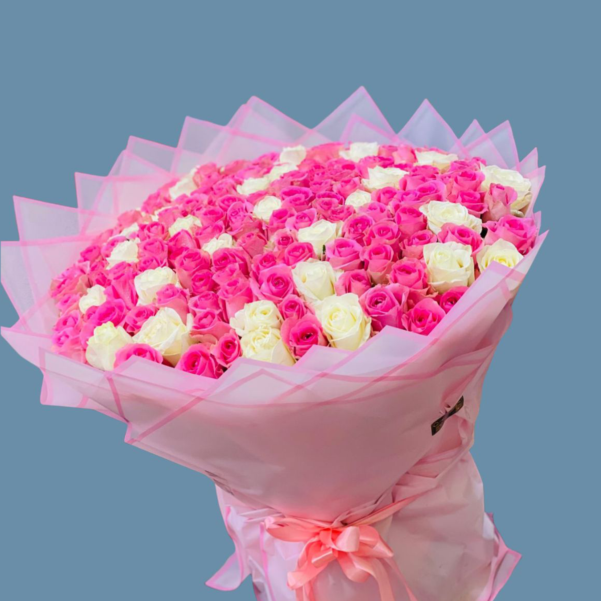 101 Pink & White Blooming Roses - Flower