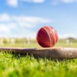 ballbyball official Profile Picture