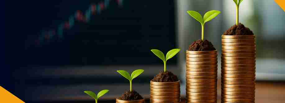 Gravitas Investments Cover Image