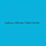 Nadeau African Violet Seeds Profile Picture