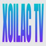 frogmouth6 Profile Picture