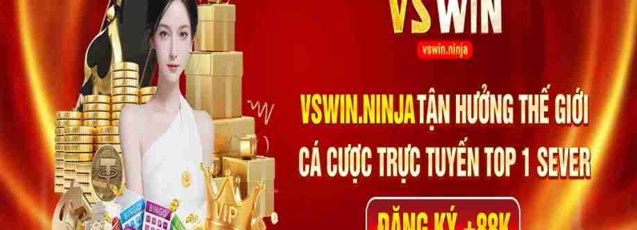 Vswin ninja Cover Image