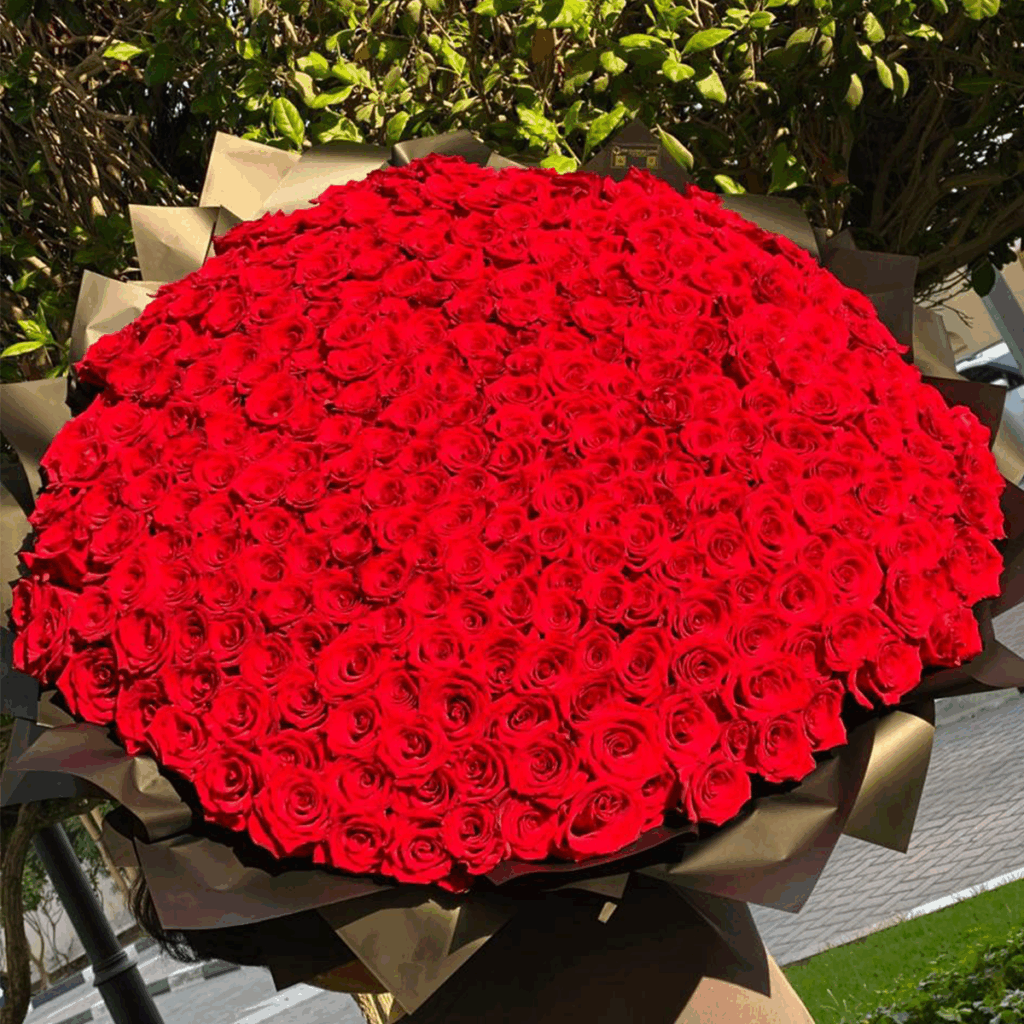 501 Red love Story - Flower