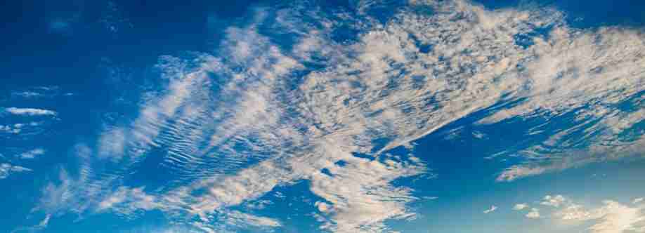 Stephen Ross Cover Image