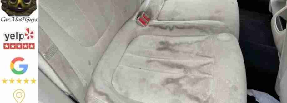 Car Mold Guys Cover Image