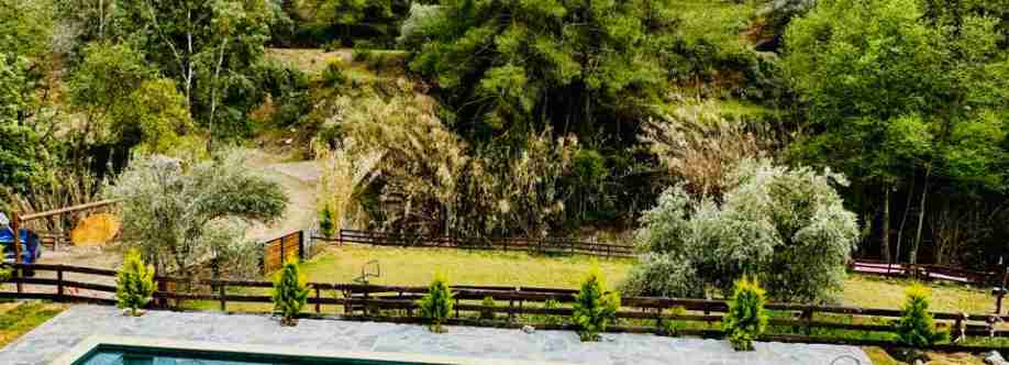 Back To Nature Cover Image