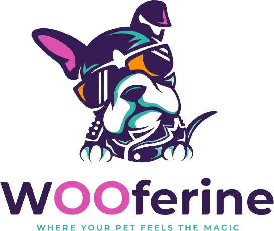 Mobile Cat Grooming Dubai